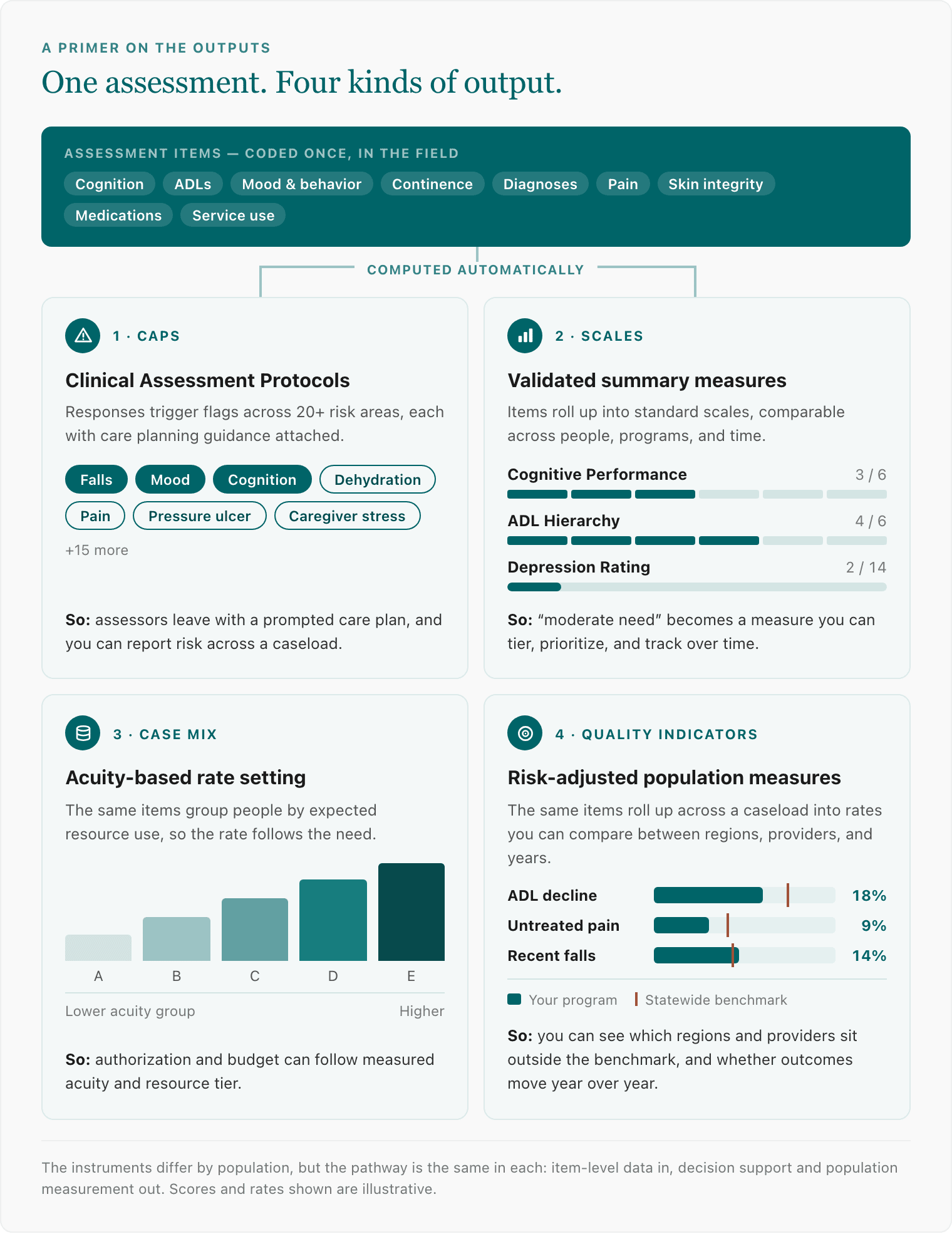 Diagram showing how interRAI assessment items — cognition, ADLs, mood and behavior, continence, diagnoses, pain, skin integrity, medications, and service use — feed four automatically computed outputs: Clinical Assessment Protocols (CAPs), validated outcome scales, the Case-Mix Index, and risk-adjusted quality indicators